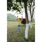 Playberg Wooden Swings with 4 Included Ropes, Tree Swing, Swing Bar, Climbing Rope Ladder and Swing Seat QI003370.Set - alternate 2